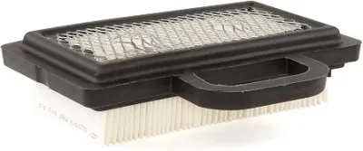 TAIWAN ΦΙΛΤΡΟ ΑΕΡΟΣ ΣΤΑΘΕΡΟΥ ΚΙΝΗΤΗΡΑ BRIGGS &AMP; STRATTON 792101