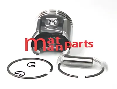 ΠΙΣΤΟΝΙ ΚΟΜΠΛΕ ΘΑΜΝΟΚΟΠΤΙΚΟΥ BLUEBIRD P590-M590-Z590-M59 46MM
